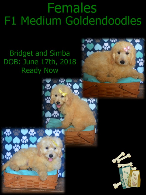 bridget