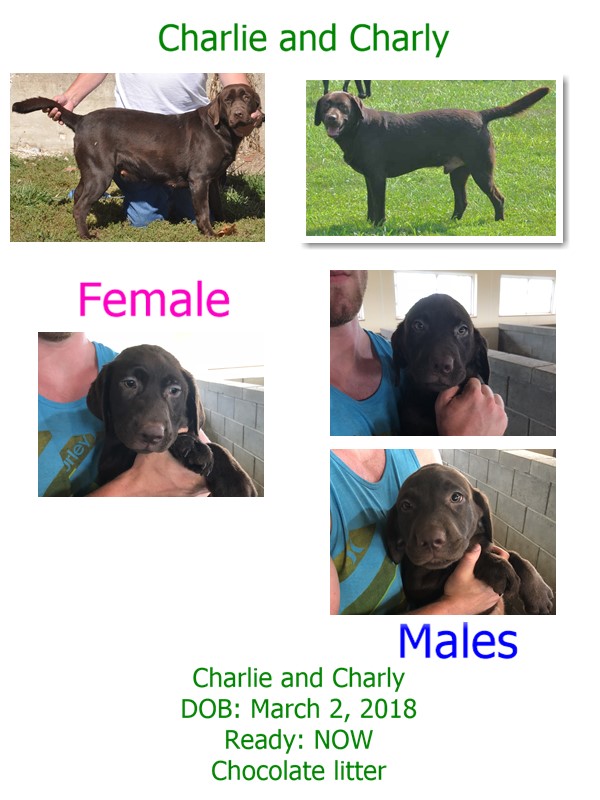 charlie