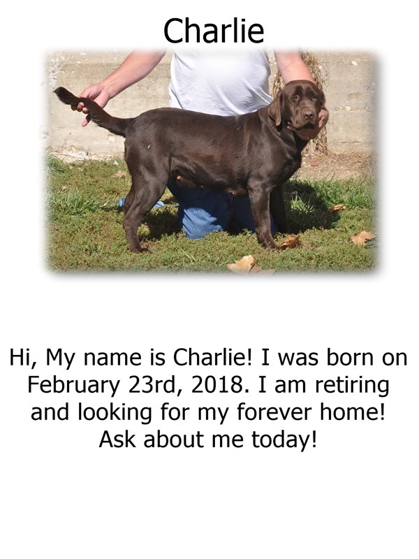 charlie