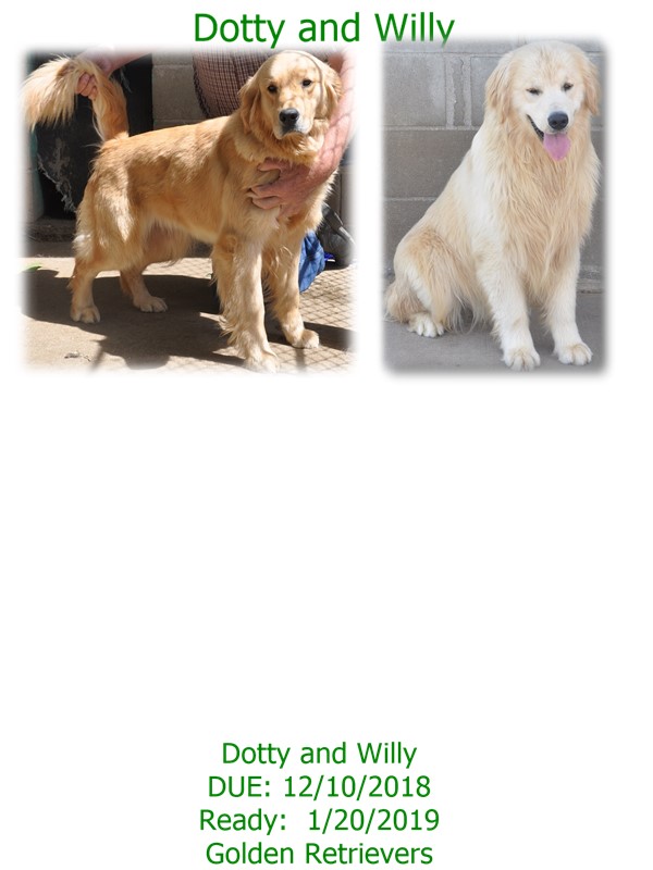 dotty