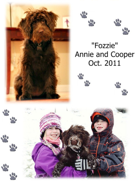 Fozzie