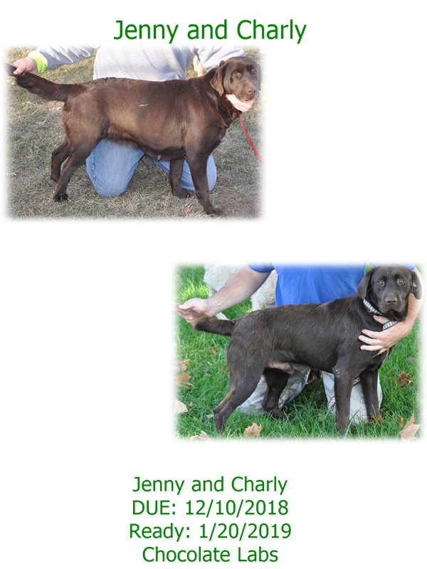 jenny