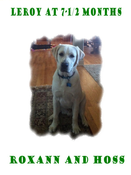 leroy