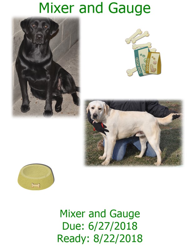 mixer