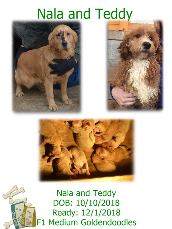 nala