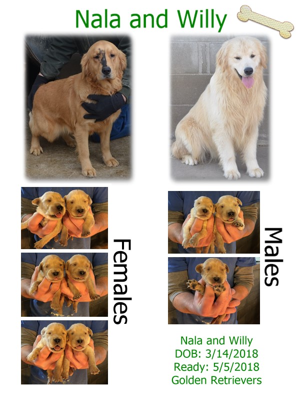 nala