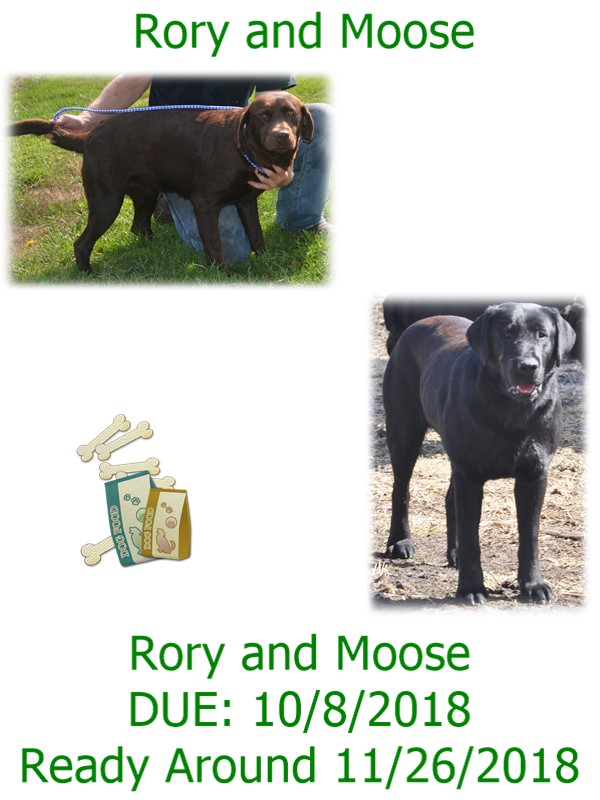 rory