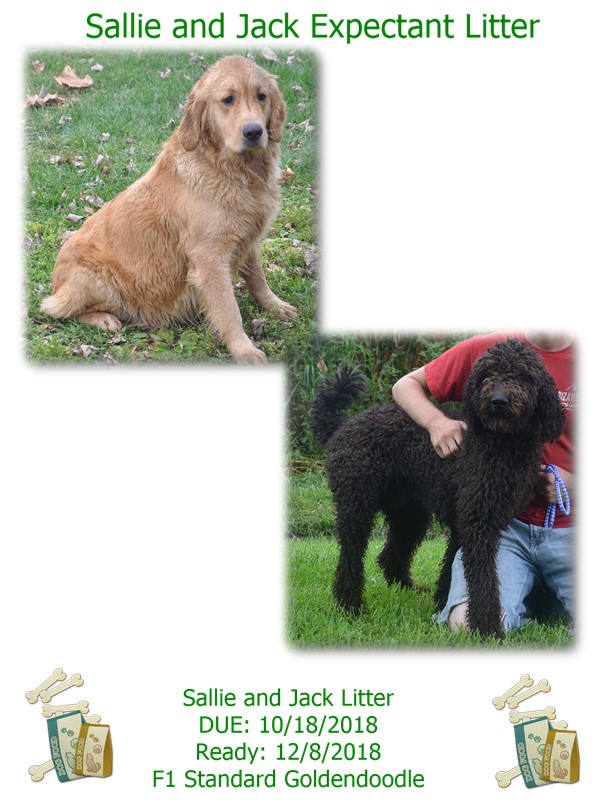 sallie